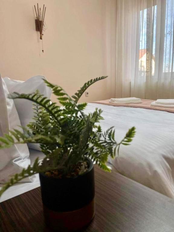 Apartment Terra Ii Floresti (Cluj)